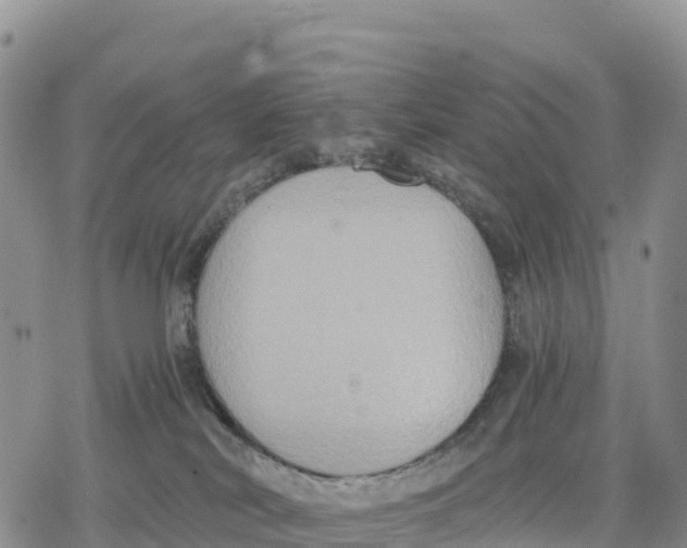 X0000078280038200611251429