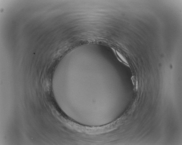 X0000078280039200611251429