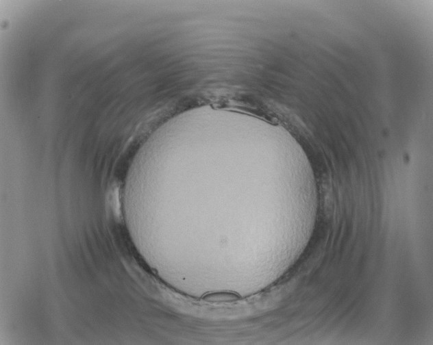 X0000078280042200611251429