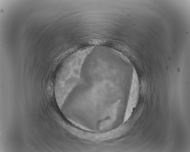 X0000078280043200611251429