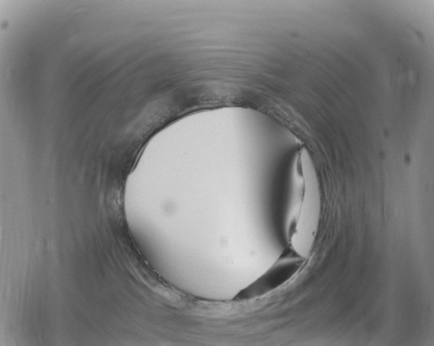 X0000078280045200611251429