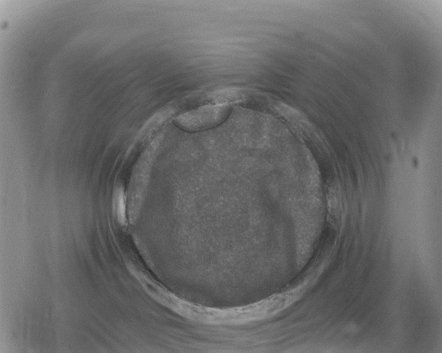 X0000078280046200611251429