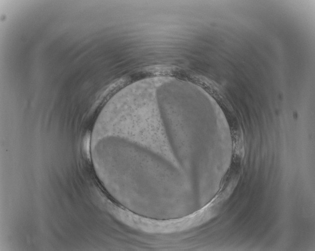 X0000078280047200611251429