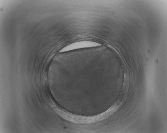 X0000078280048200611251429