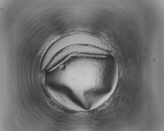 X0000078280050200611251428