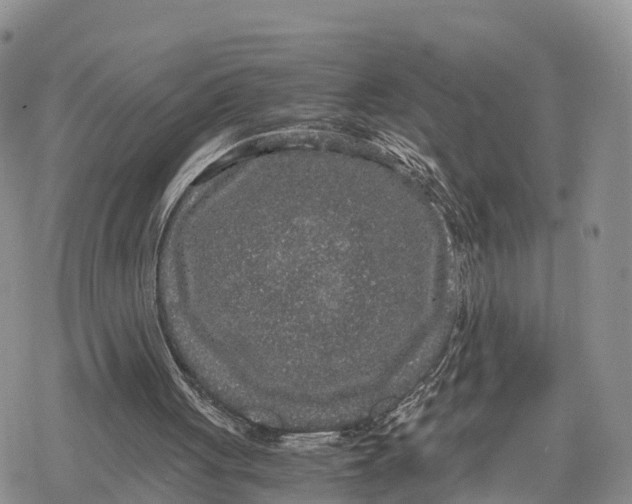 X0000078280051200611251428