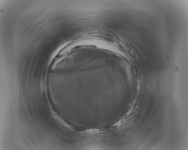 X0000078280052200611251428