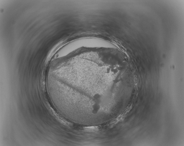 X0000078280053200611251428