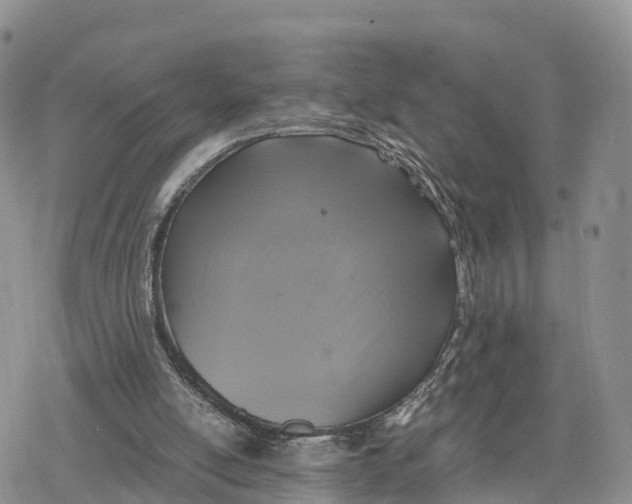 X0000078280054200611251428