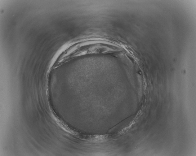 X0000078280056200611251428