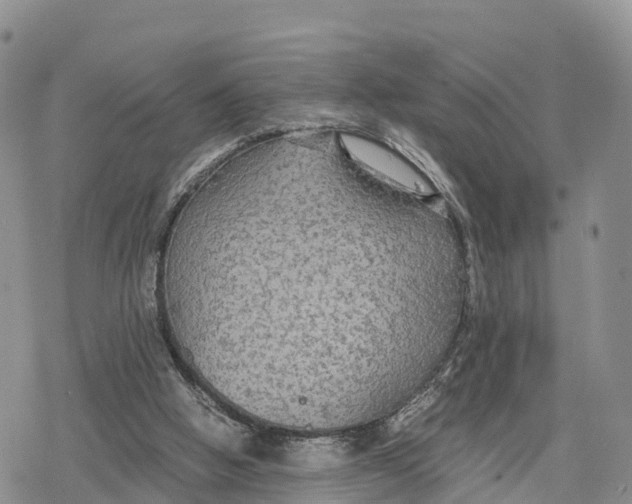 X0000078280058200611251428