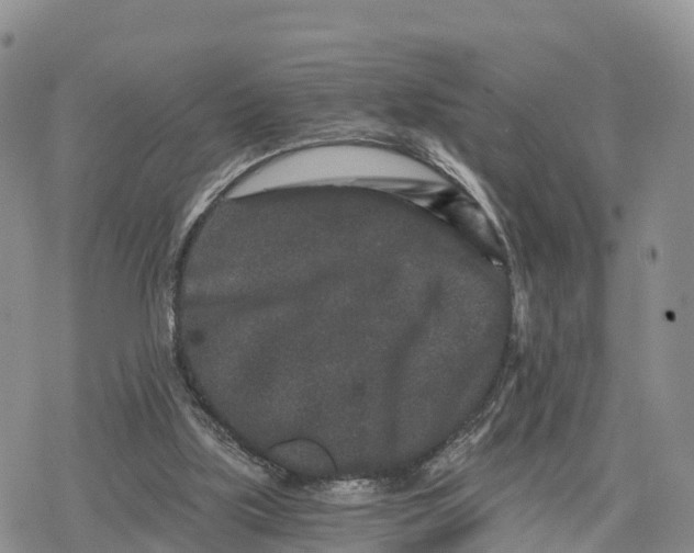 X0000078280059200611251428