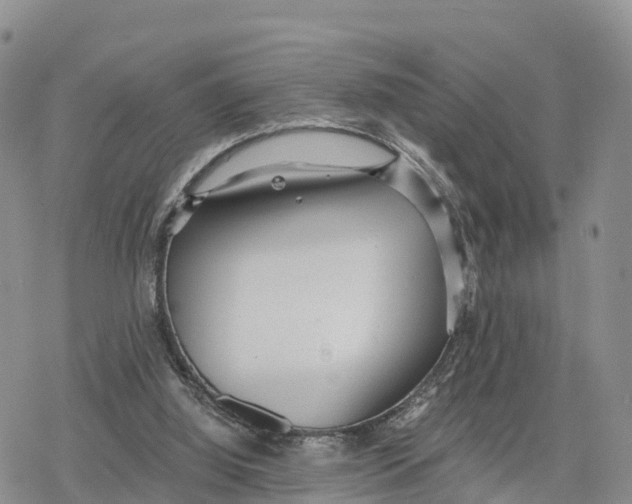 X0000078280060200611251428