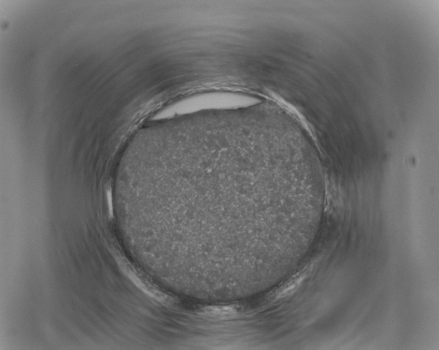 X0000078280061200611251428