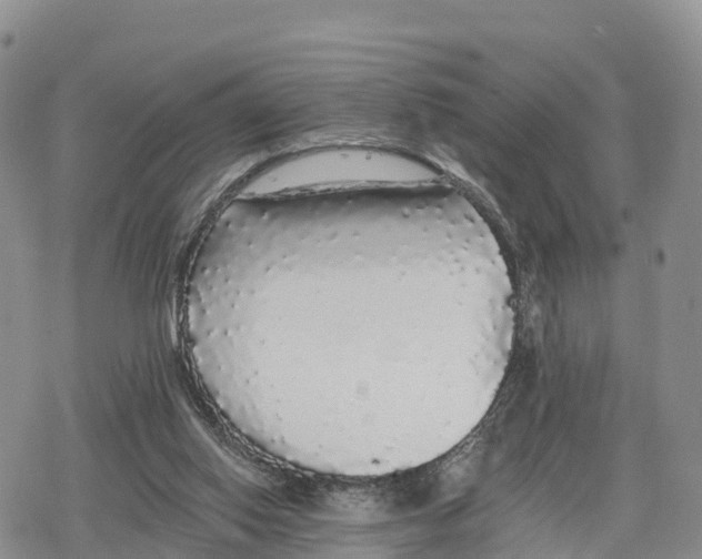 X0000078280062200611251428