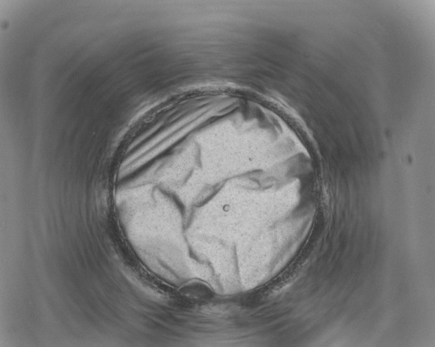 X0000078280063200611251428