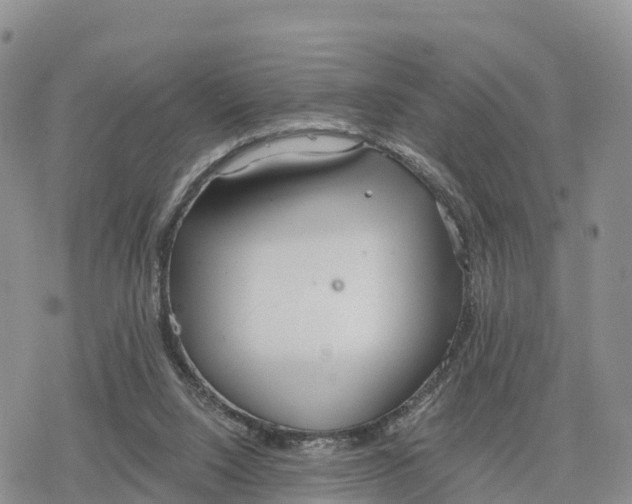 X0000078280064200611251428