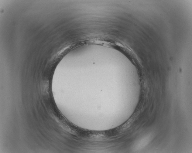 X0000078280066200611251428