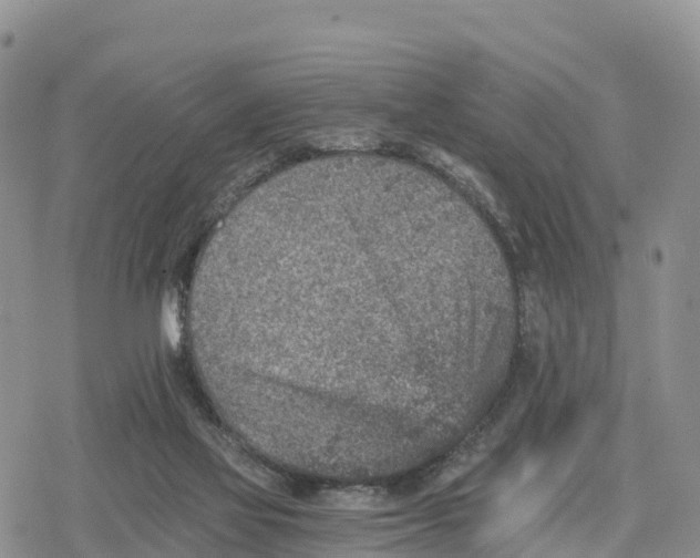 X0000078280069200611251428