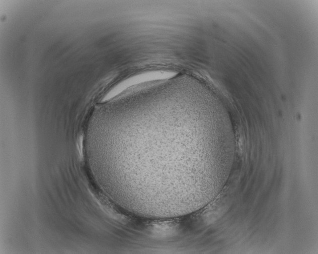 X0000078280070200611251428