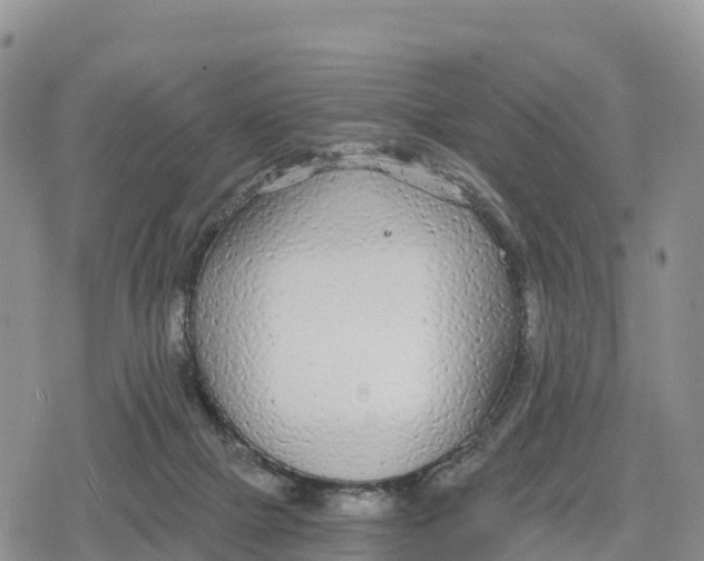 X0000078280073200611251429