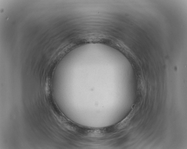 X0000078280074200611251429