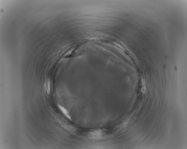 X0000078280076200611251429