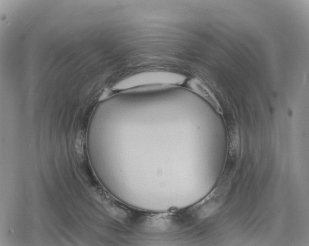 X0000078280078200611251429