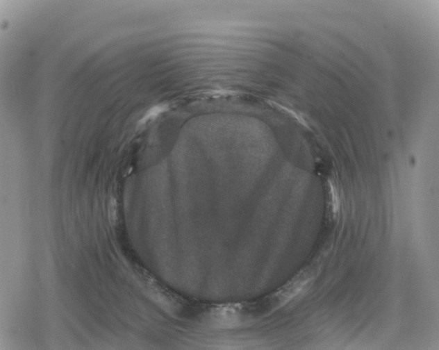 X0000078280080200611251429