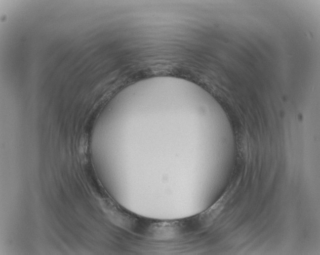 X0000078280082200611251429