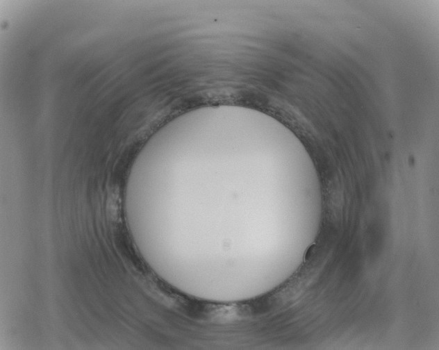 X0000078280083200611251429