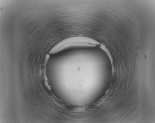 X0000078280084200611251429