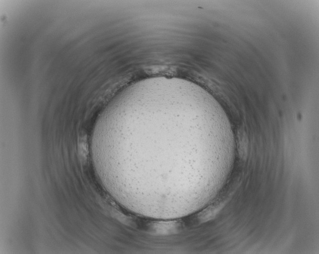 X0000078280085200611251429