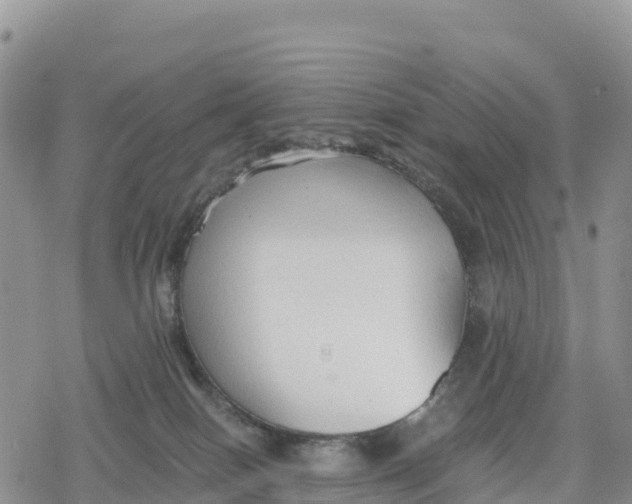 X0000078280086200611251429