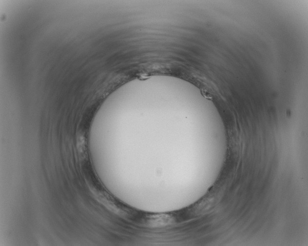 X0000078280087200611251429