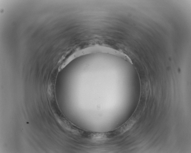 X0000078280088200611251429