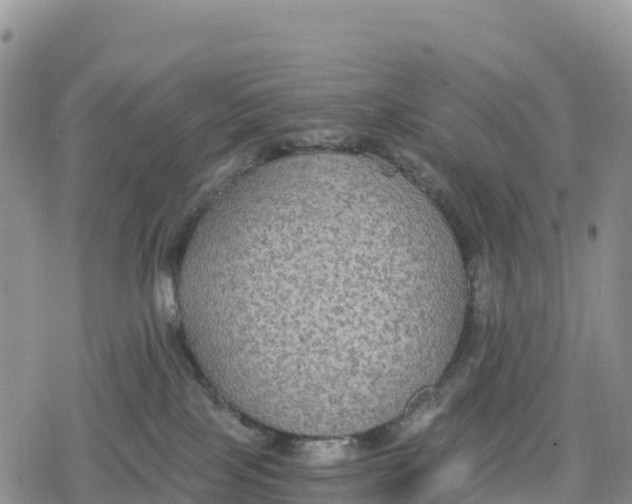 X0000078280089200611251429