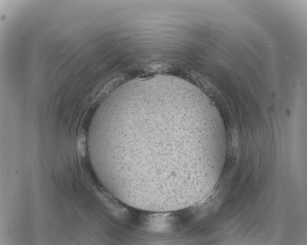 X0000078280090200611251429