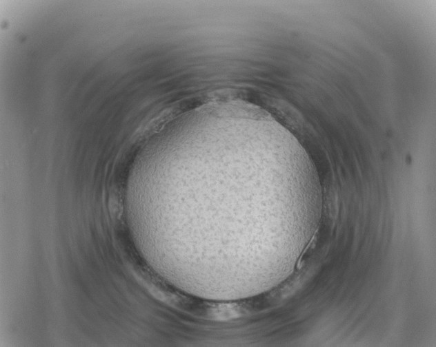 X0000078280091200611251429