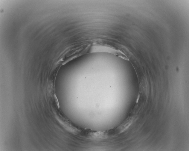 X0000078280092200611251429