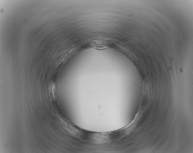 X0000078280094200611251429