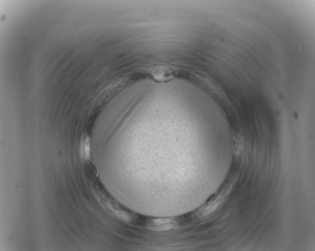 X0000078280095200611251429