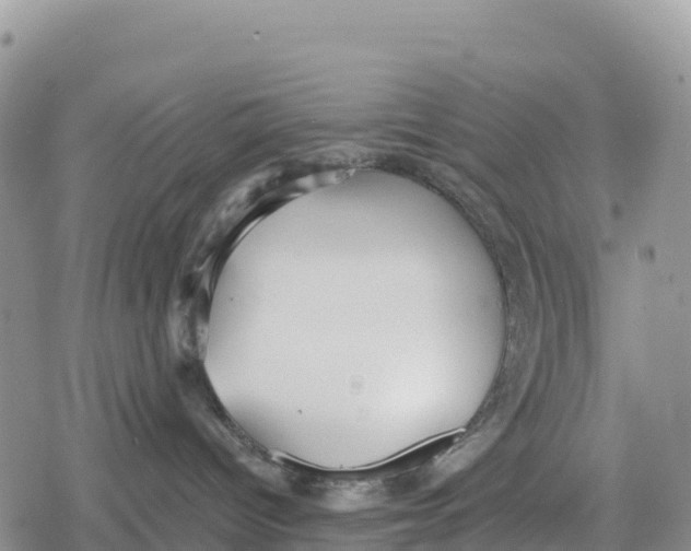 X0000078280096200611251429