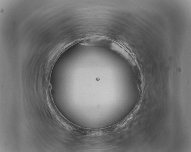 X0000078280097200611251428