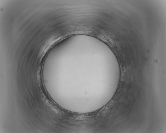 X0000078280098200611251428