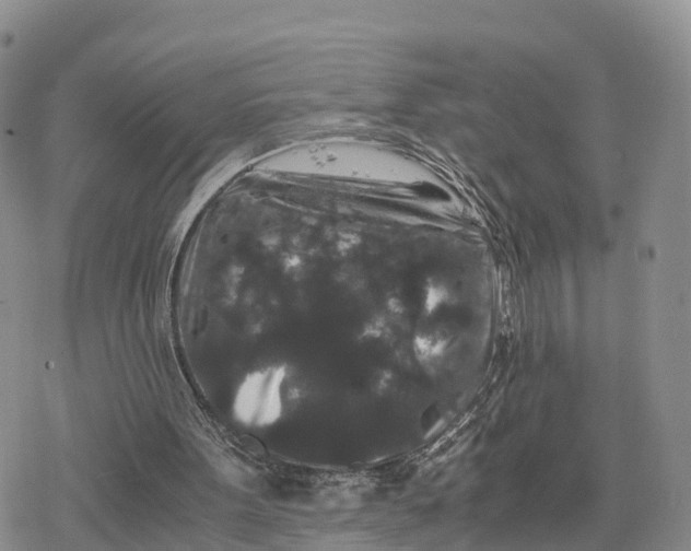 X0000078280099200611251428