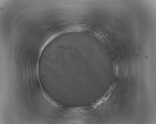 X0000078280100200611251428