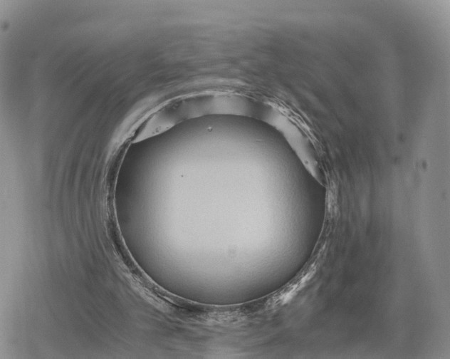 X0000078280101200611251428