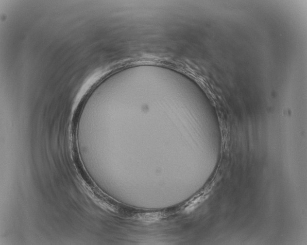 X0000078280102200611251428