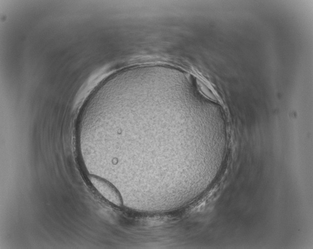 X0000078280103200611251428